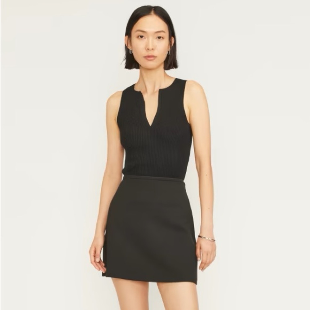 Everlane Black Mini Skirt